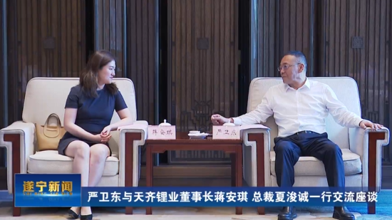 严卫东与tyc86太阳集团锂业董事长蒋安琪、总裁夏浚诚一行互换座谈