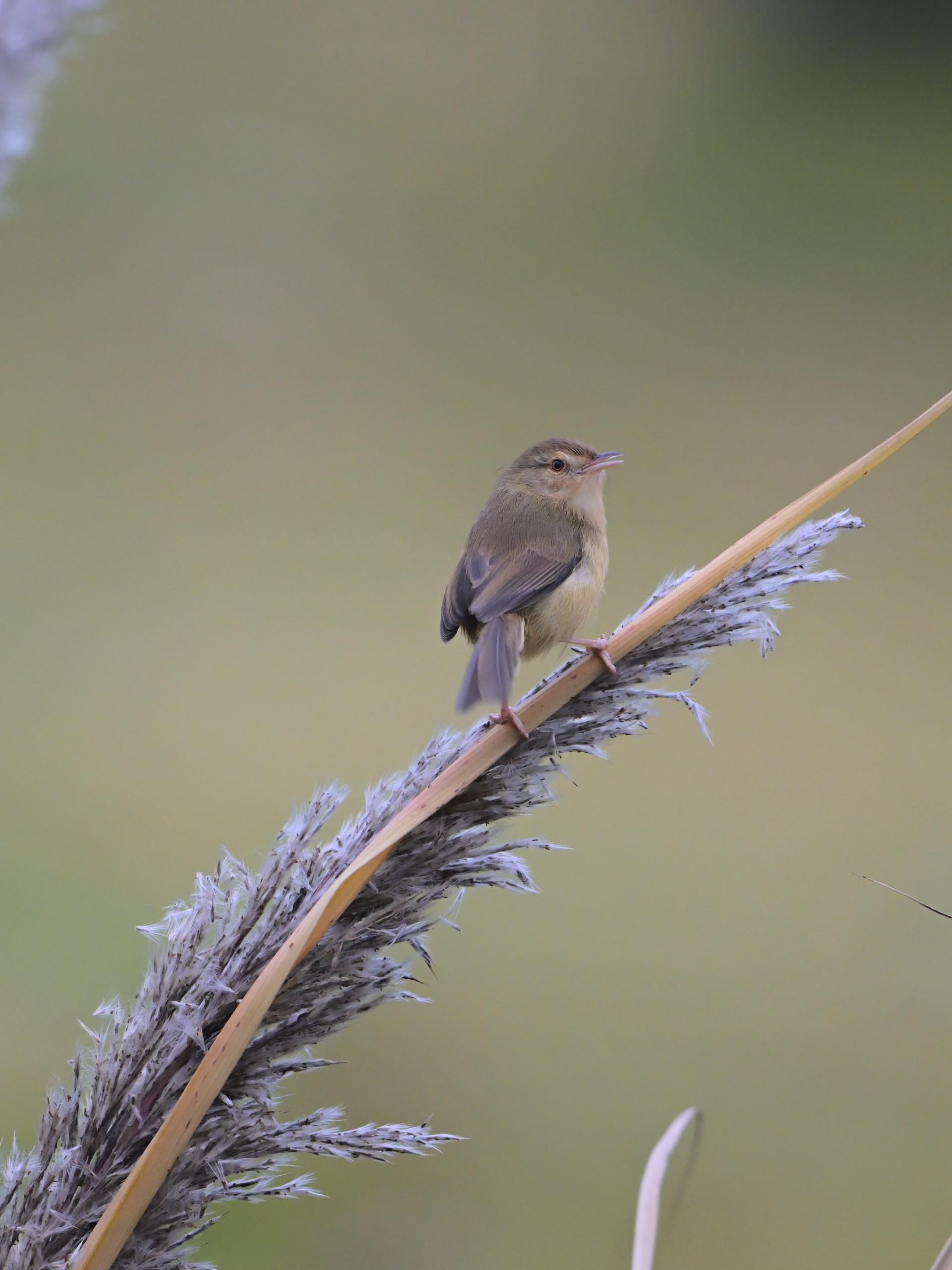 中国·太阳集团tyc86(股份有限公司)-Official website