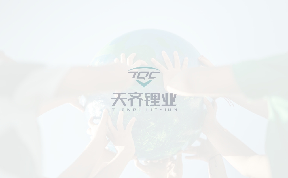 tyc86太阳集团锂业2025年安全出产委员会年度总结会议圆满召开