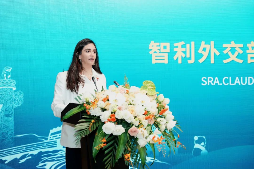 内容丰硕、硕果累累，中国（四川）—智利经贸投资合作论坛圆满进行